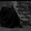 nancyzuniga332